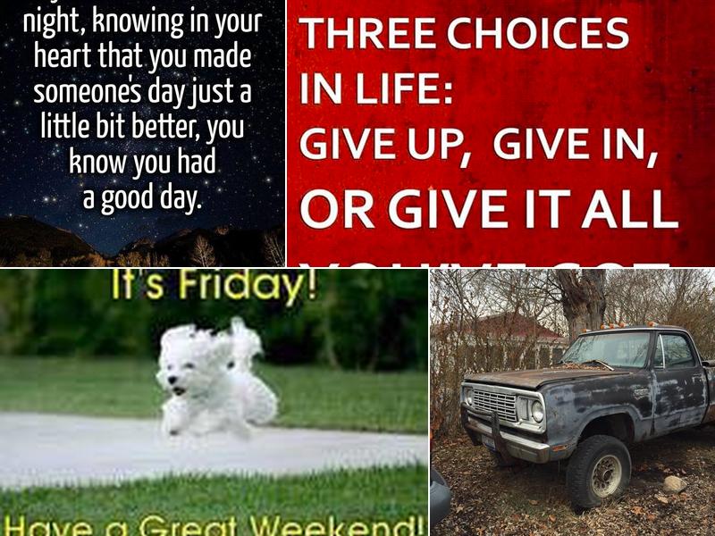 Mike Ward Automotive