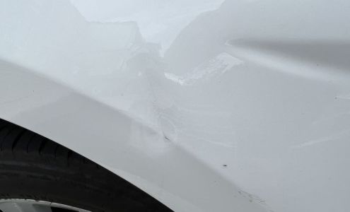 Fox Rent A Car Seattle