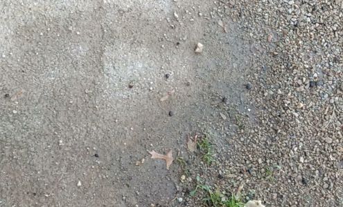 Waynesburg Muffler & Brake