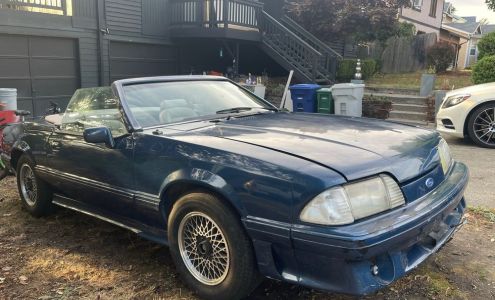 Darwin’s Tire Shop