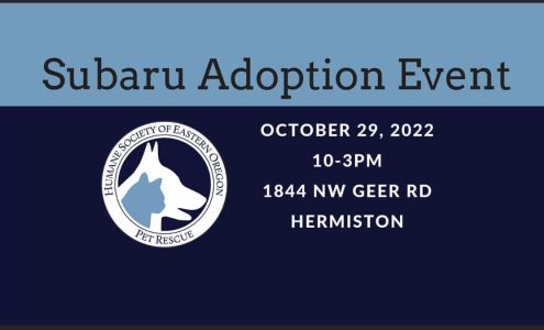 Rogers Subaru of Hermiston Hermiston