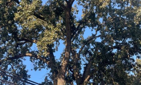 Chichoche Tires & Auto Repair