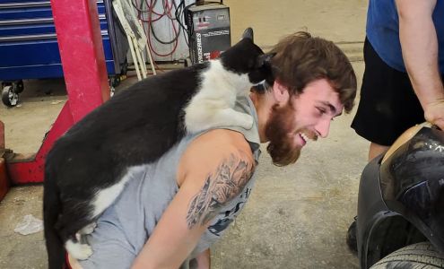 Scott's Auto Repair New Bloomfield