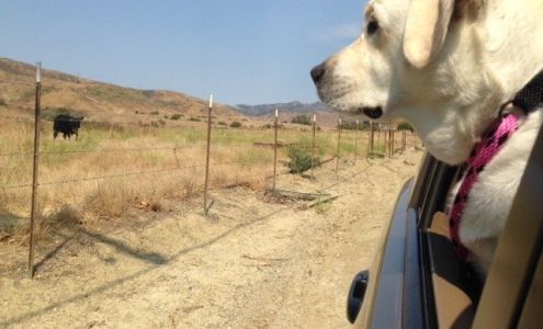 Bill Clark Automotive