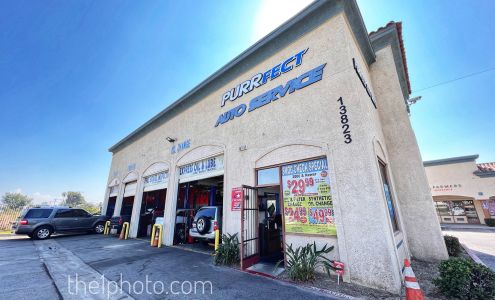 Purrfect Auto Service