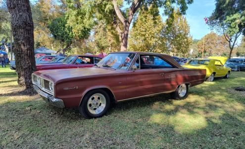 Baldy's Classic Cars