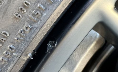 TIRE AND WHEEL WORLD