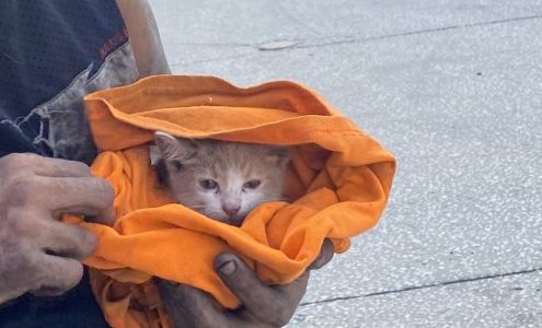 Tire Super Center-Winter Garden