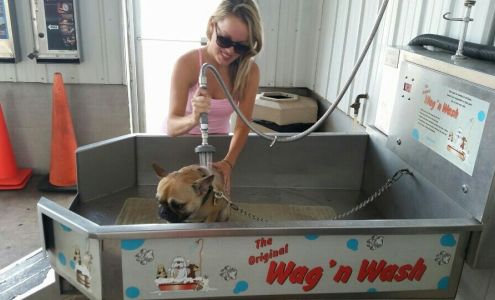 Big Dog Car Pet Wash Two Harbors