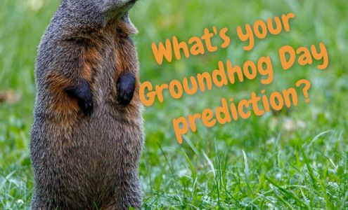 Spear's Automotive Center Cedar Crest