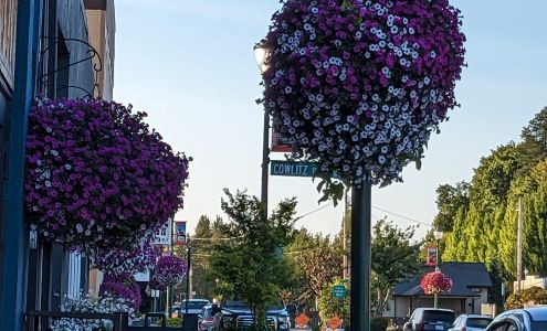 Castle Rock Brake and Alignment Castle Rock