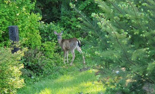 R & R Motors Castle Rock