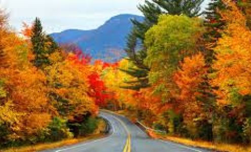 Advanced Automotive Repair Bolivar