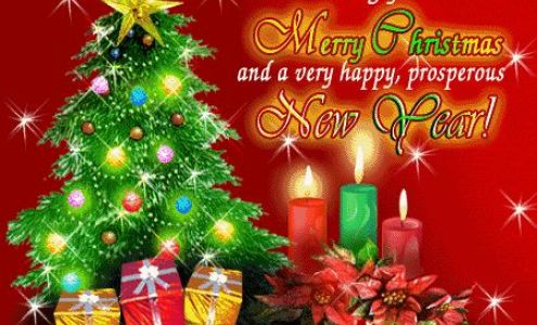 Alpine Smog Official Brake and Lamp Station Lodi