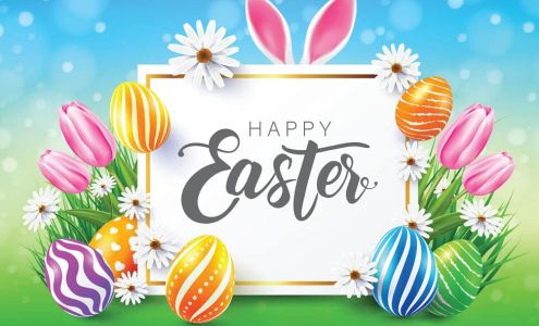 Cam Tech Auto Repair