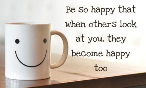 Hendrick Collision Dale Earnhardt Jr. Chevrolet