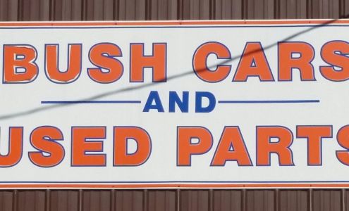 Bush Cars