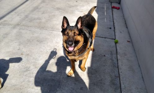 Team C Performance Center