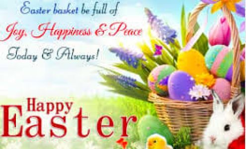 GRAYS PAINT AND BODY