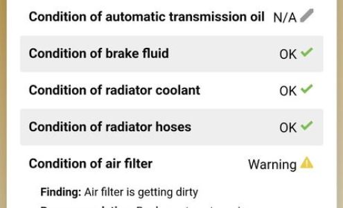 Certified Automotive Specialists