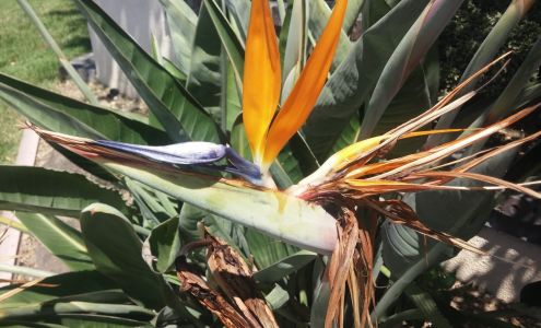 Excel Auto Body & Paint