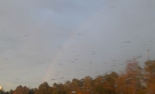 Parker's Auto & Truck Services Eastover