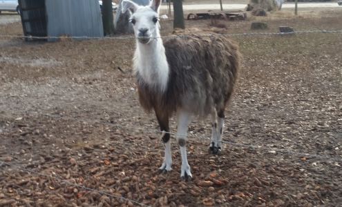 Jackson's Auto Sales & Parts