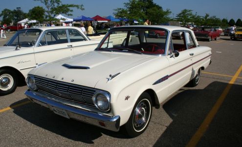 Falcon Registry Francis