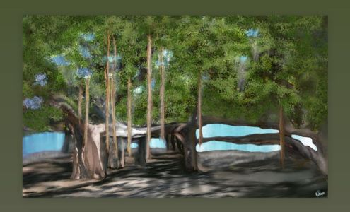 Maui Off Road Center