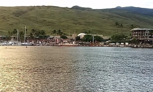 Cars for Less Maui LLC