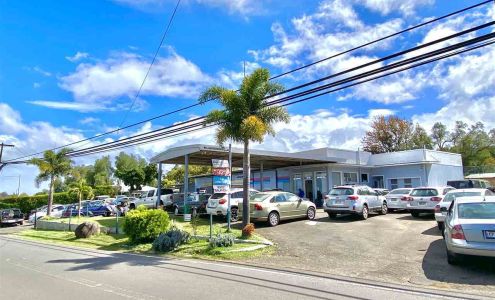 VW/Audi Repair Specialists Kula