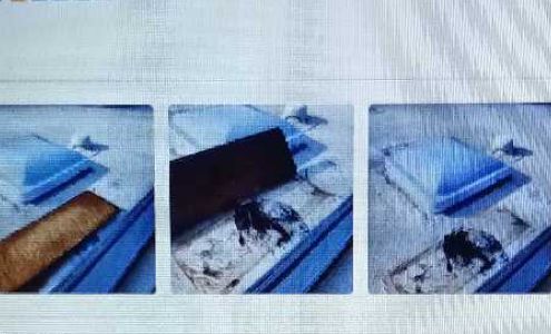 Electric City Automotive Anderson