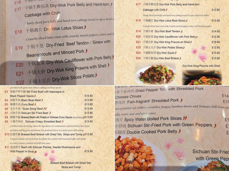 The Sichuan Restaurant Menu