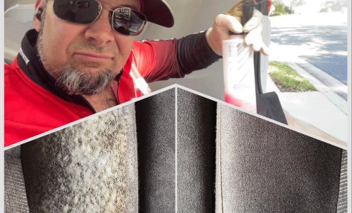 That One Auto Detailing Polk City