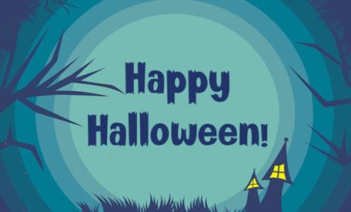 Orange Blossom Auto Glass