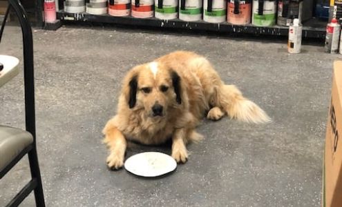 River Valley Collision