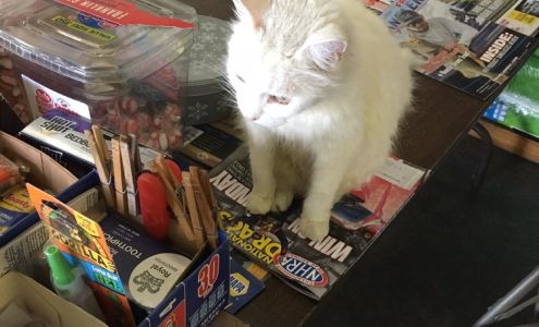 Martin Automotive Sherrills Ford