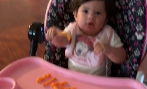 Neat Freaks Mobile Detailing, LLC