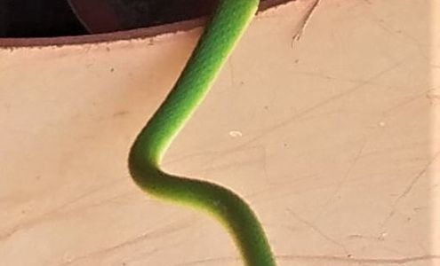 Clint's Mobile Truck Services LLC