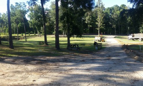 Plant Auto Repair & Sales