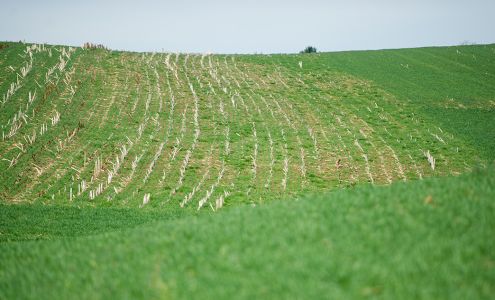 Sunrise FS Tire & Service Center Virginia