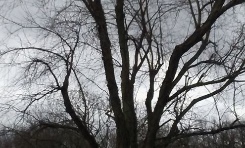 Darrells Auto Repair