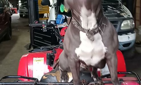 CNT Automotive Level Plains