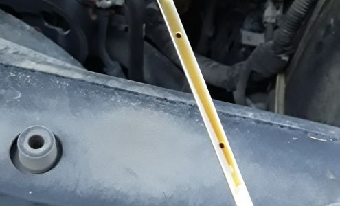 Trevizo Auto Sales
