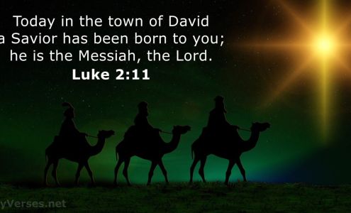 Packerland Auto Glass