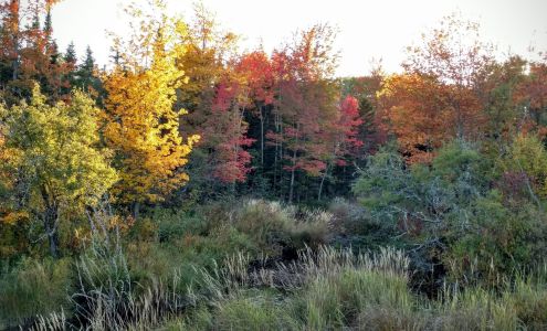 Robertson Glass Co Eddington