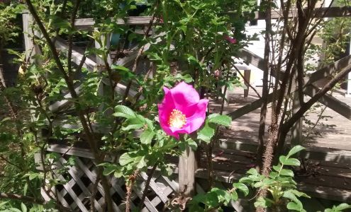 Midcoast Custom Repairs Hope