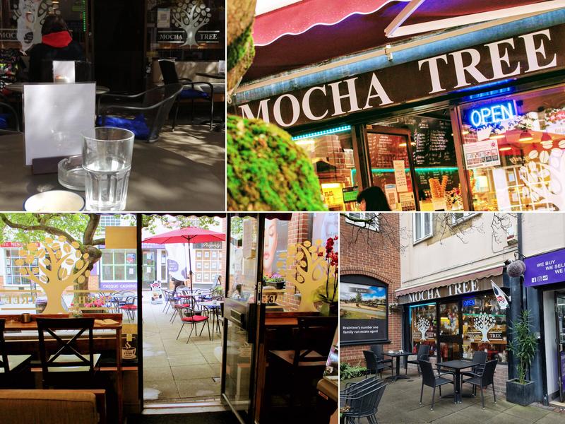 Mocha Tree , CM7 1ER