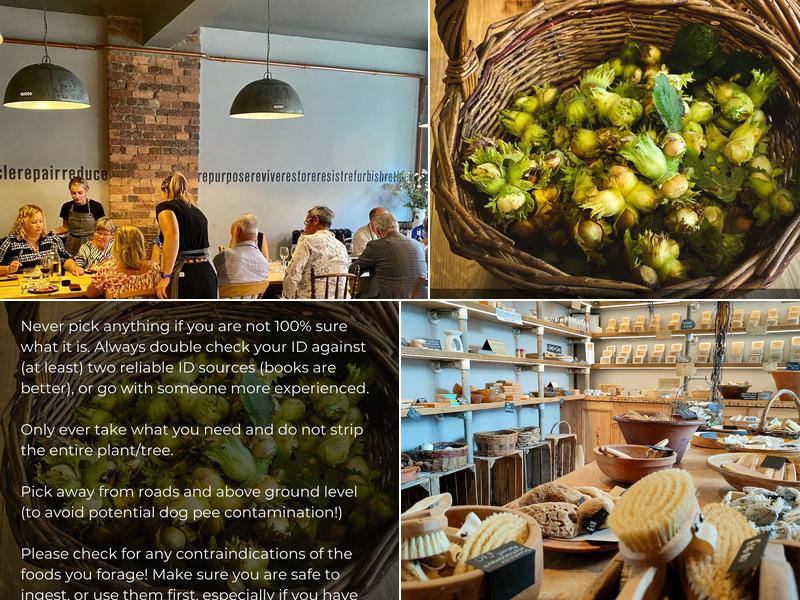 Really Wild Emporium