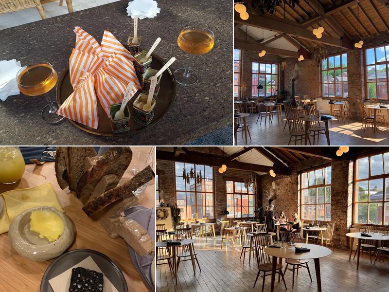 Where the Light Gets In